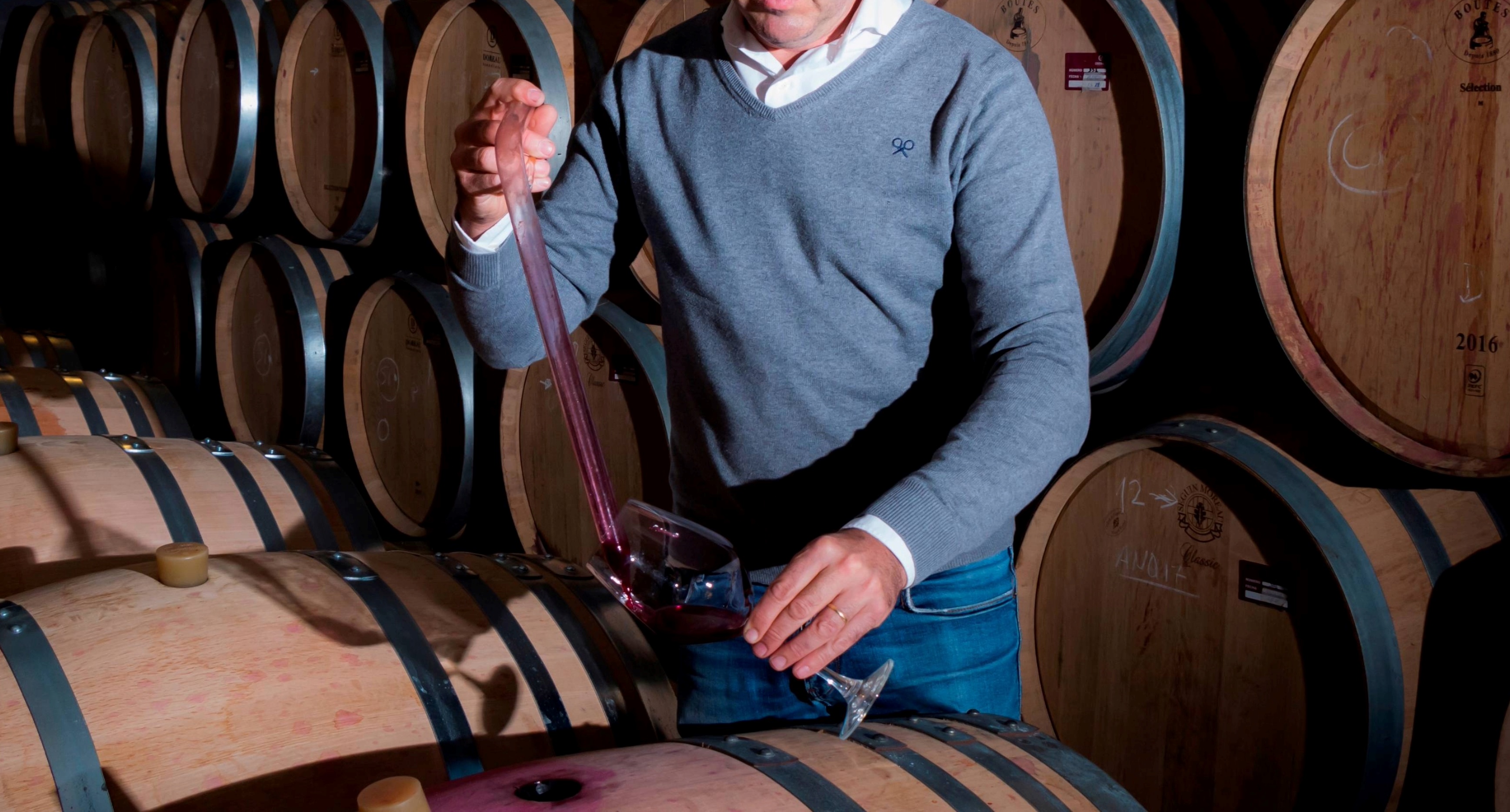 Experiencia En&oacute;logo por 1 D&iacute;a